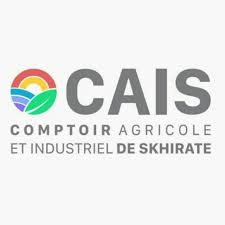 Logo Cais